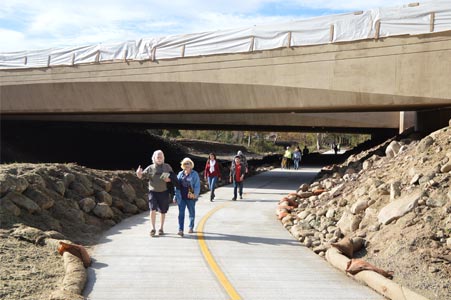 Carpinteria Creek Bridges